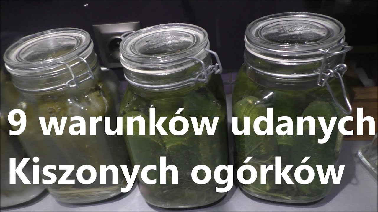9 warunków idealnych ogórków Kiszonych.