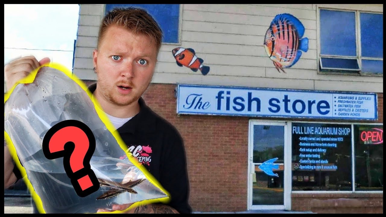 Buying PREDATOR Fish From 46 Year Old Local Fish Store!