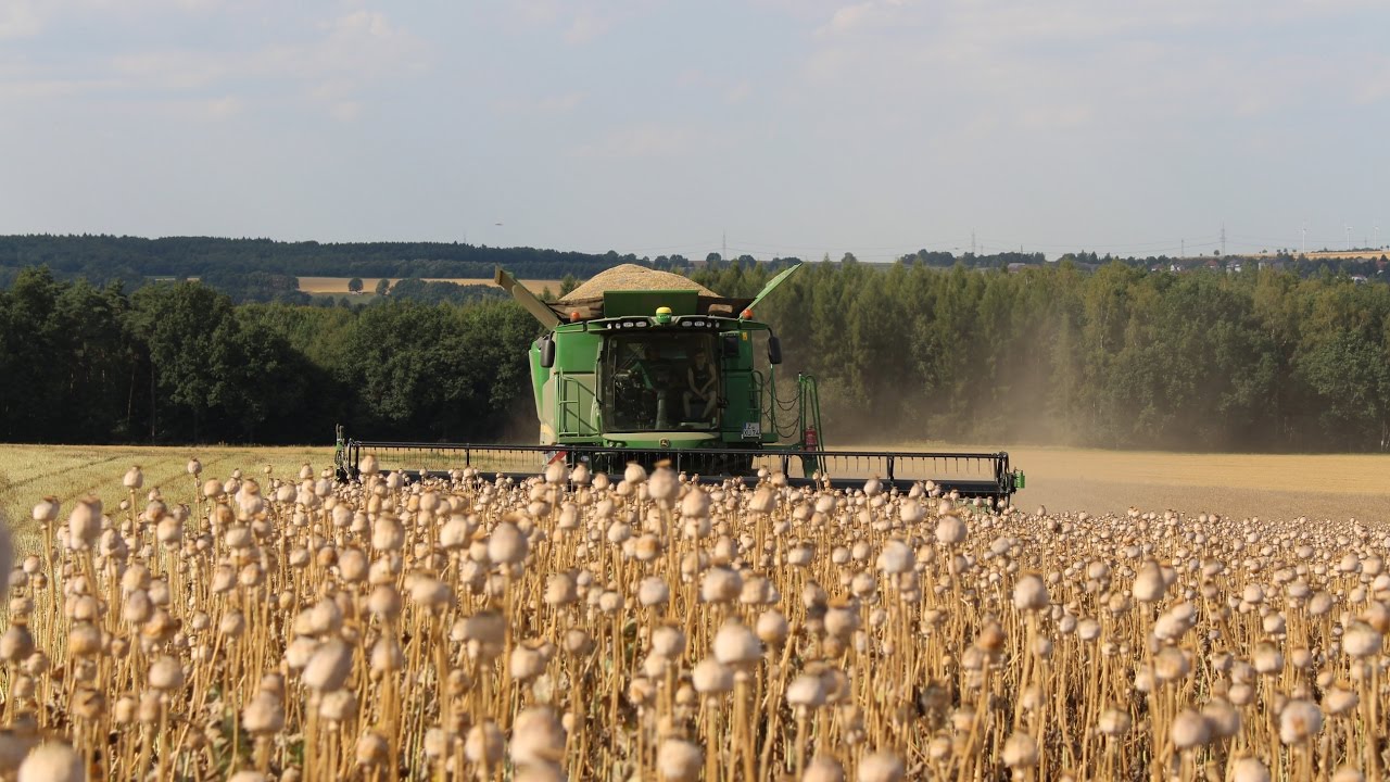Mohn dreschen / John Deere / Die Agrarfilmer
