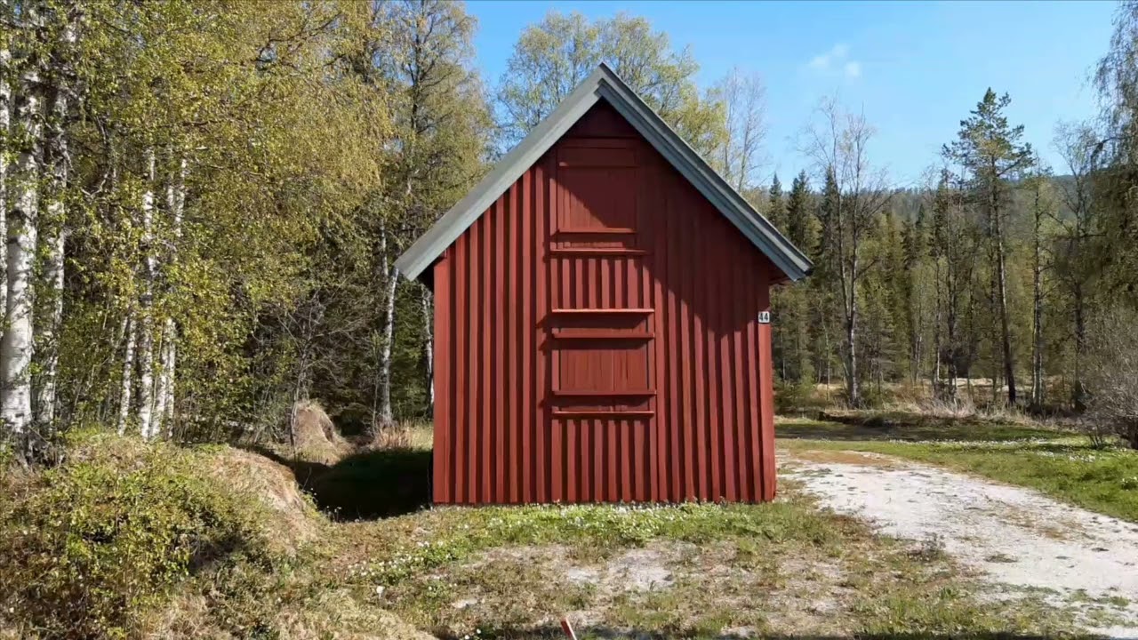 Namsskogan