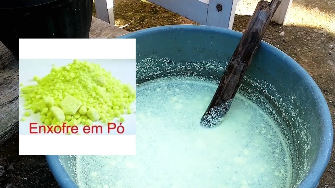 ✓ENXOFRE EM PÓ: Acaricida, Fungicida, Inseticida Aprenda como Usar nas Suas ROSAS DO DESERTO