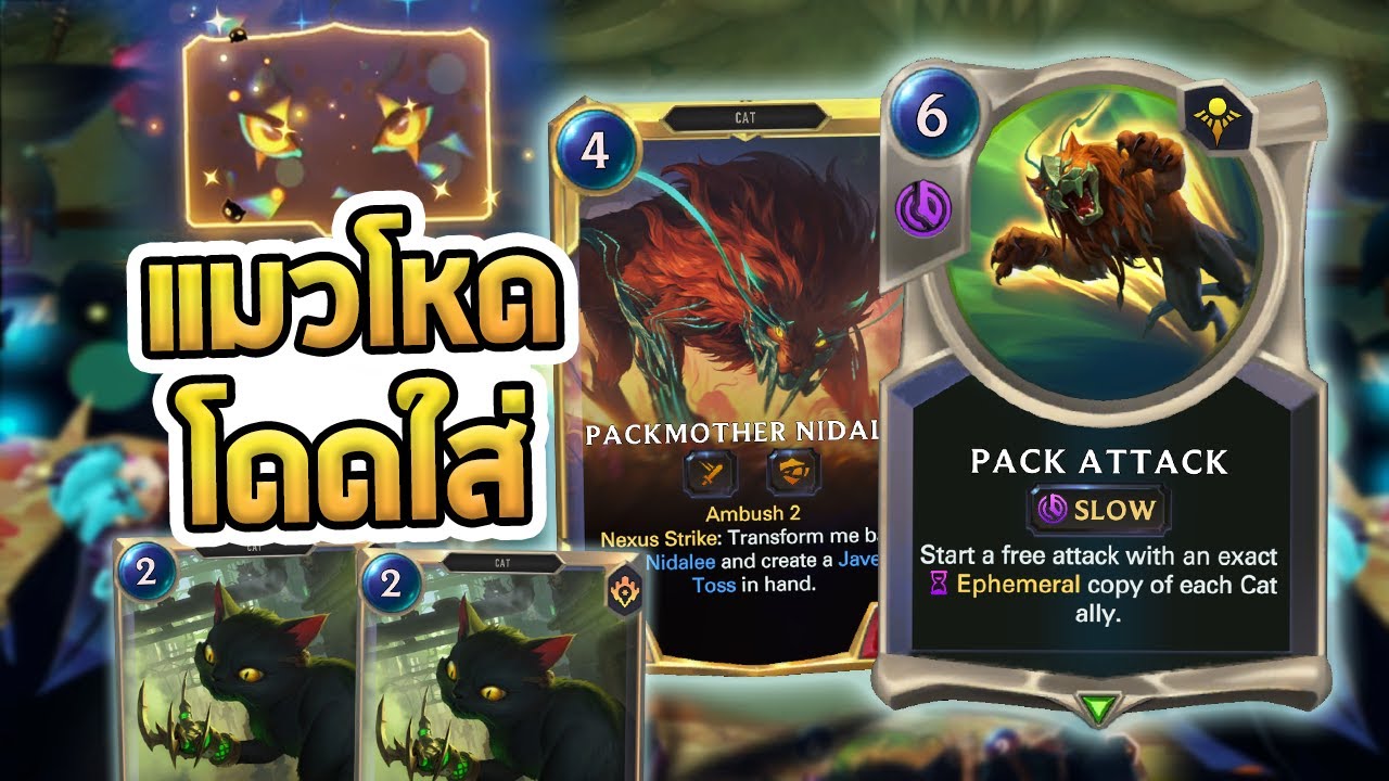 คอมโบสุดโหดของเหล่าแมว Pack Attack กระโดดเข้าไปขย้ำ!! - LoR