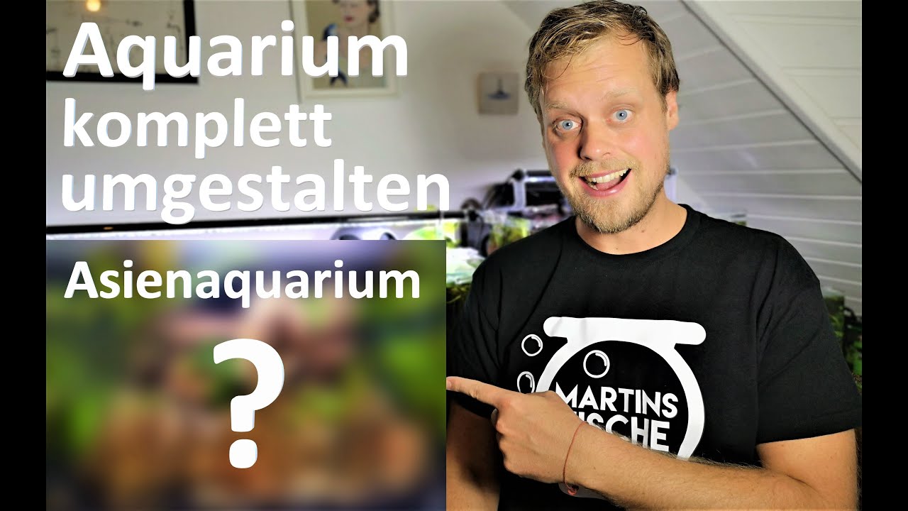 Aquarium komplett umgestalten - aus alt mach neu - Asienaquarium
