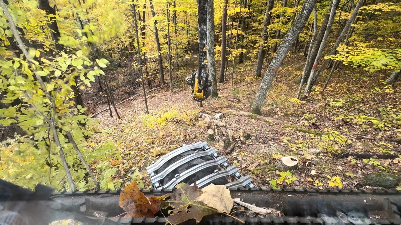 Ponsse Scorpion King cutting Hardwood on hillside