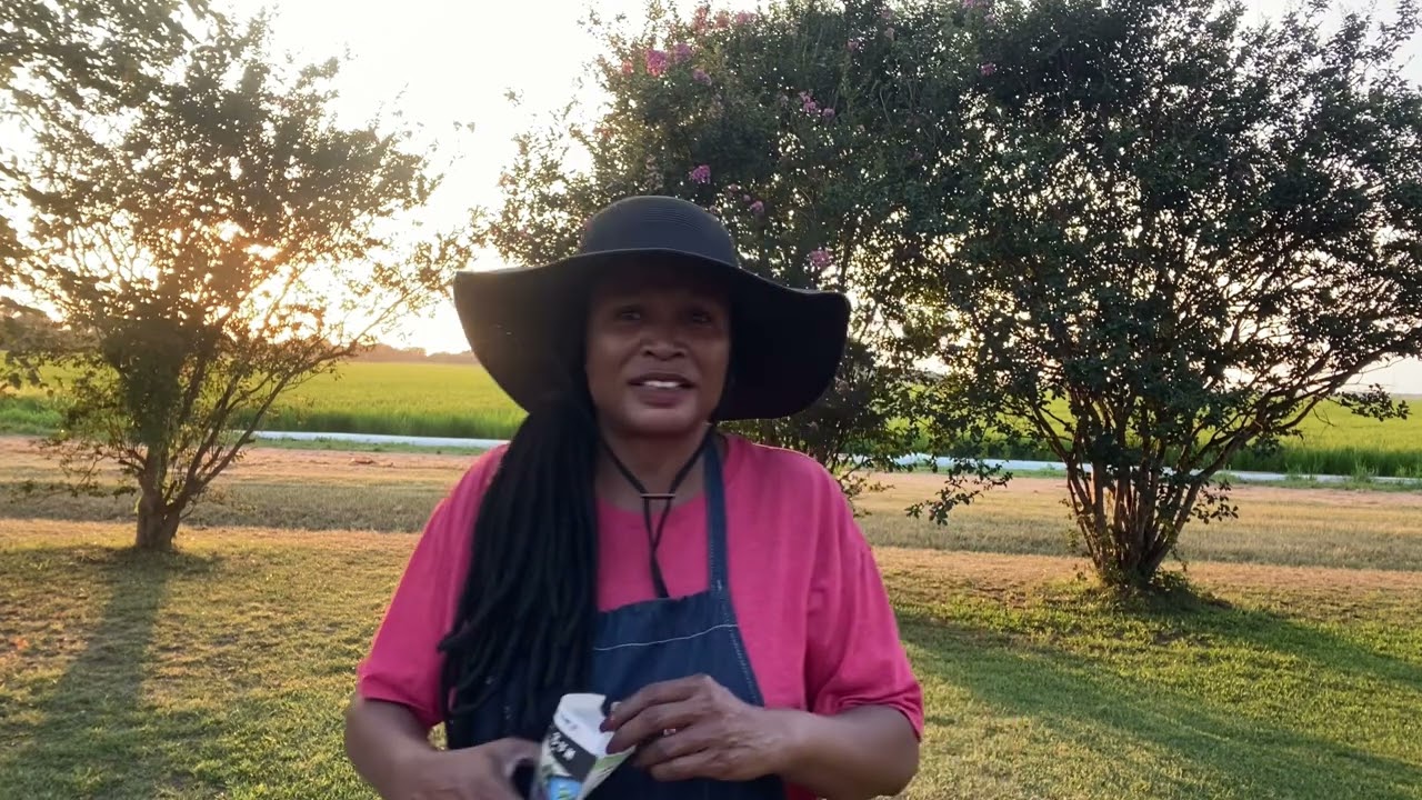 Planting Fall seeds in July for zone 8b gardening