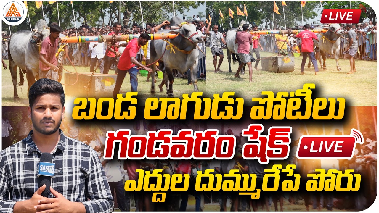 🔴LIVE : vNellore గండవరం లో బండ లాగాడు పోటీలు |Bullock Cart Pulling Competition in Gandavaram | SAStv