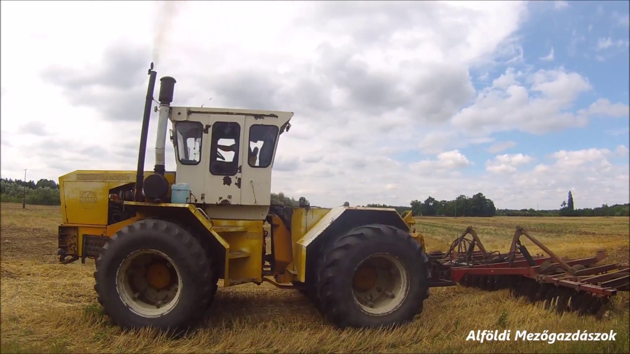 Tarló tárcsázás! Petőfi MGSZ ( Rába Steiger 250 & IH 7.6 )
