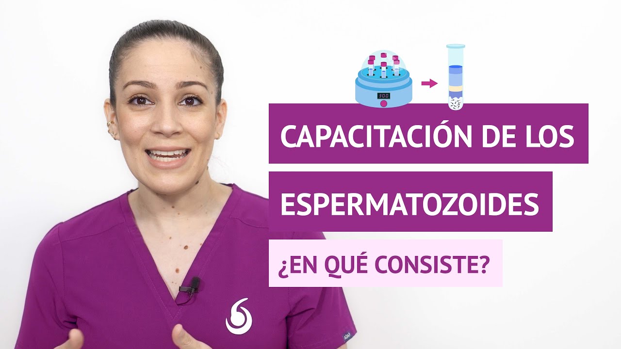 ¿En qué consiste el proceso de capacitación de los espermatozoides?