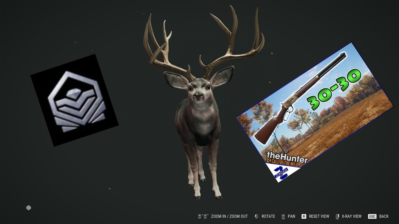 The hunter call of the wild diamond mully???