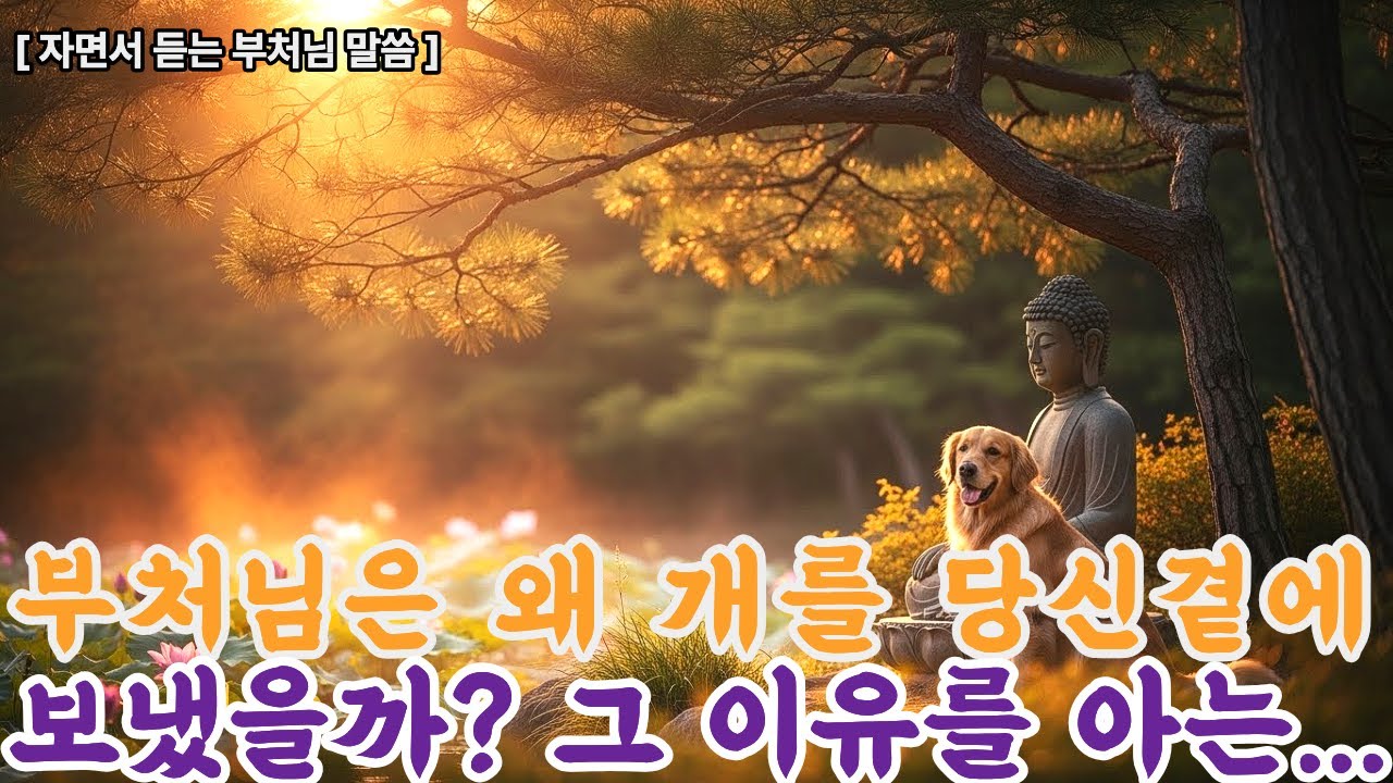 신은 왜 개를 당신 곁에 보냈을까? | 부처님께서 밝히신 반려동물과의 인연