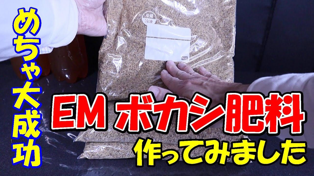 【肥料】めちゃ大成功!! EMボカシ肥料を作ってみました【家庭菜園、園芸】
