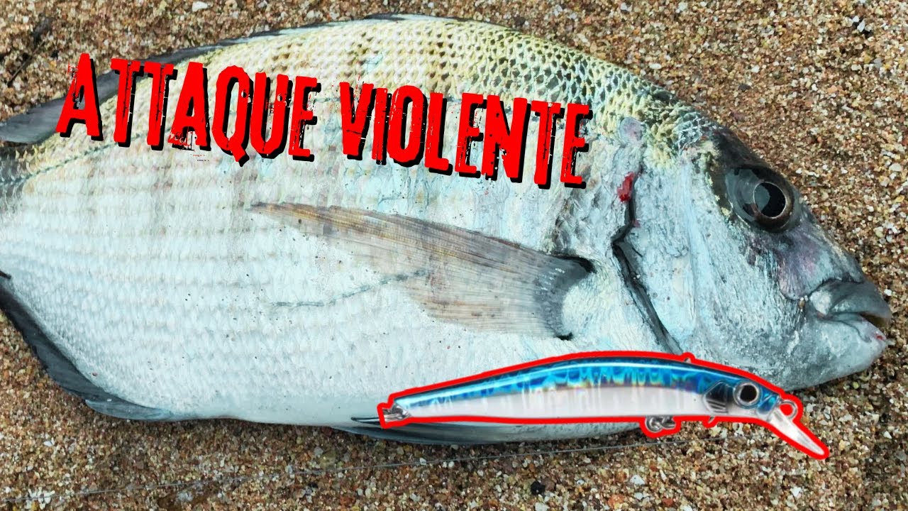 Mer agitée : on tente quand même 🎣