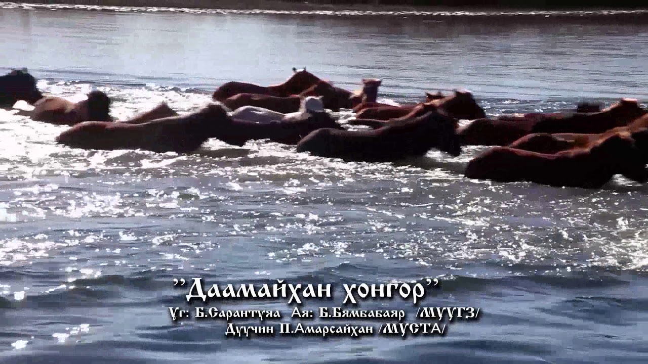 Daamaihan hongor Даамайхан хонгор