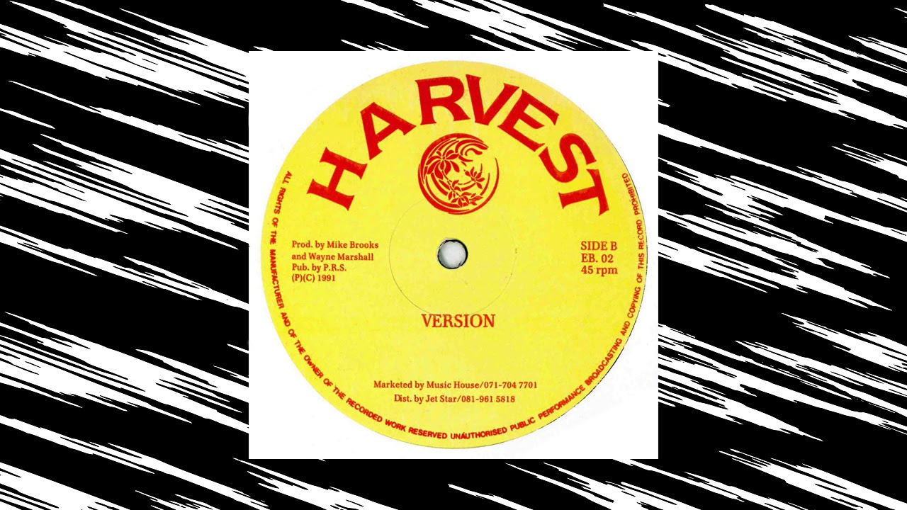 Mike Brooks - On The Ice (Version)