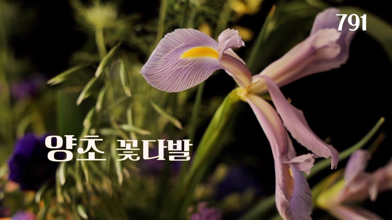 플라워레슨 791초를 넣은 꽃다발 디자인 | 오브제 플라워 작업 과정