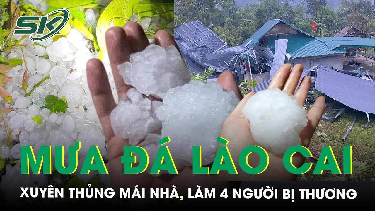 Mưa đ&aacute; to như nắm tay dội xuống L&agrave;o Cai l&agrave;m 4 người bị thương, g&acirc;y thiệt hại tr&ecirc;n 30 tỷ đồng | SKĐS