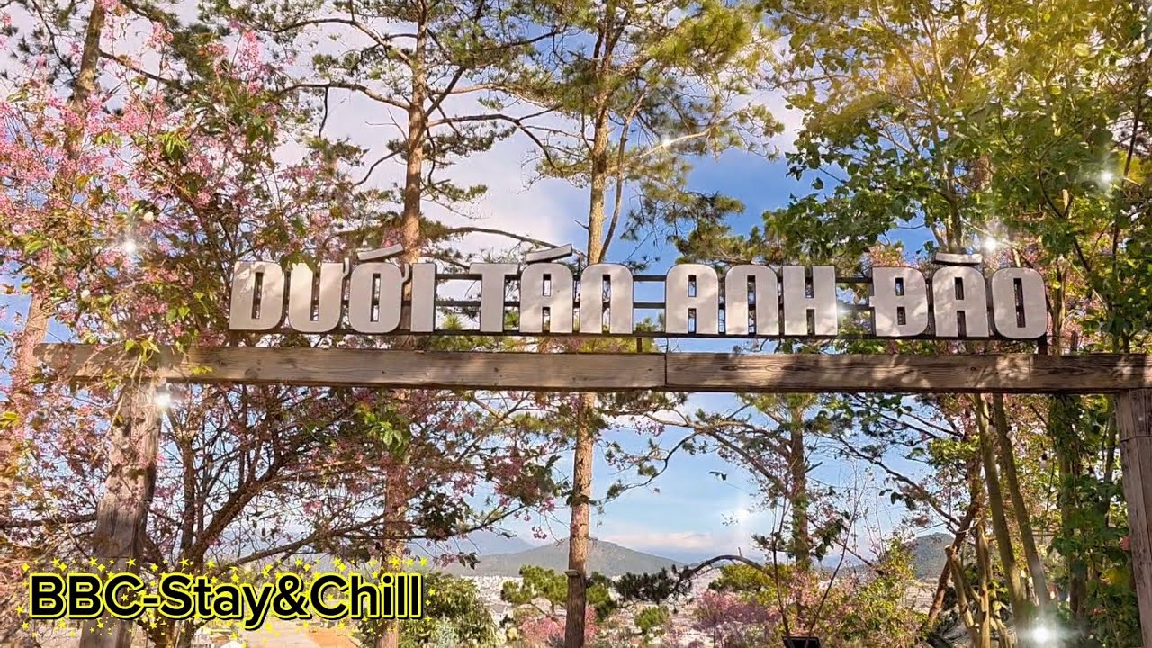Quán cafe Dưới Tán Anh Đào - Đà Lạt ( xuân 2026 )