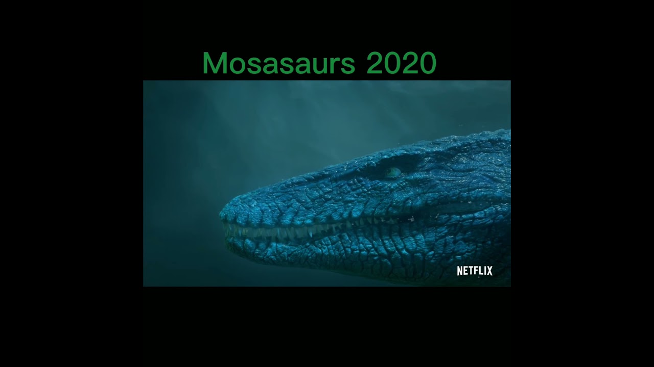 The Evolution Of The Mosasaurs #shorts #Mosasaurs