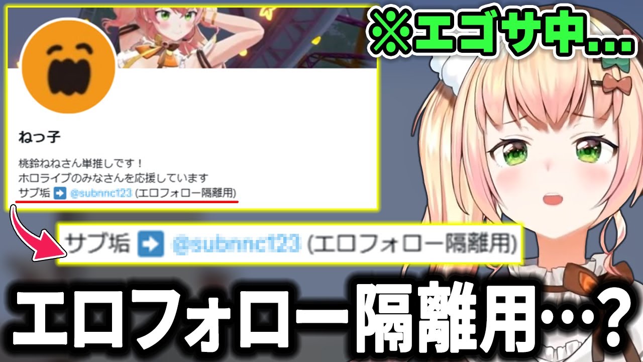【！？】エゴサが止まらないホロメンたちが見つけてしまったリスナーのツイートww【ホロライブ切り抜き/宝鐘マリン/兎田ぺこら/雪花ラミィetc】