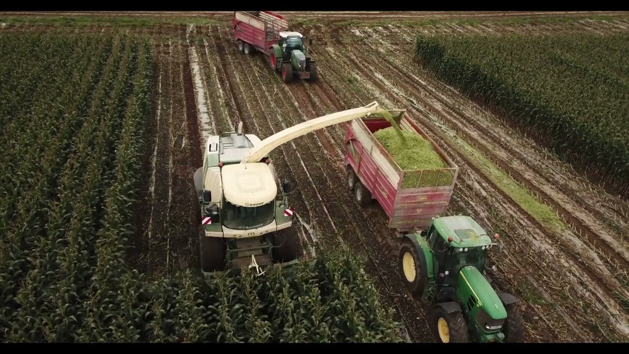 Neville Rickey Cutting Maize 2022