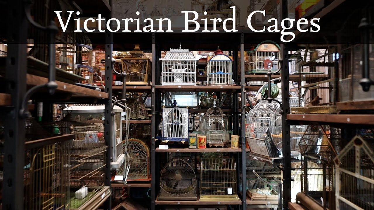 Victorian Bird Cages