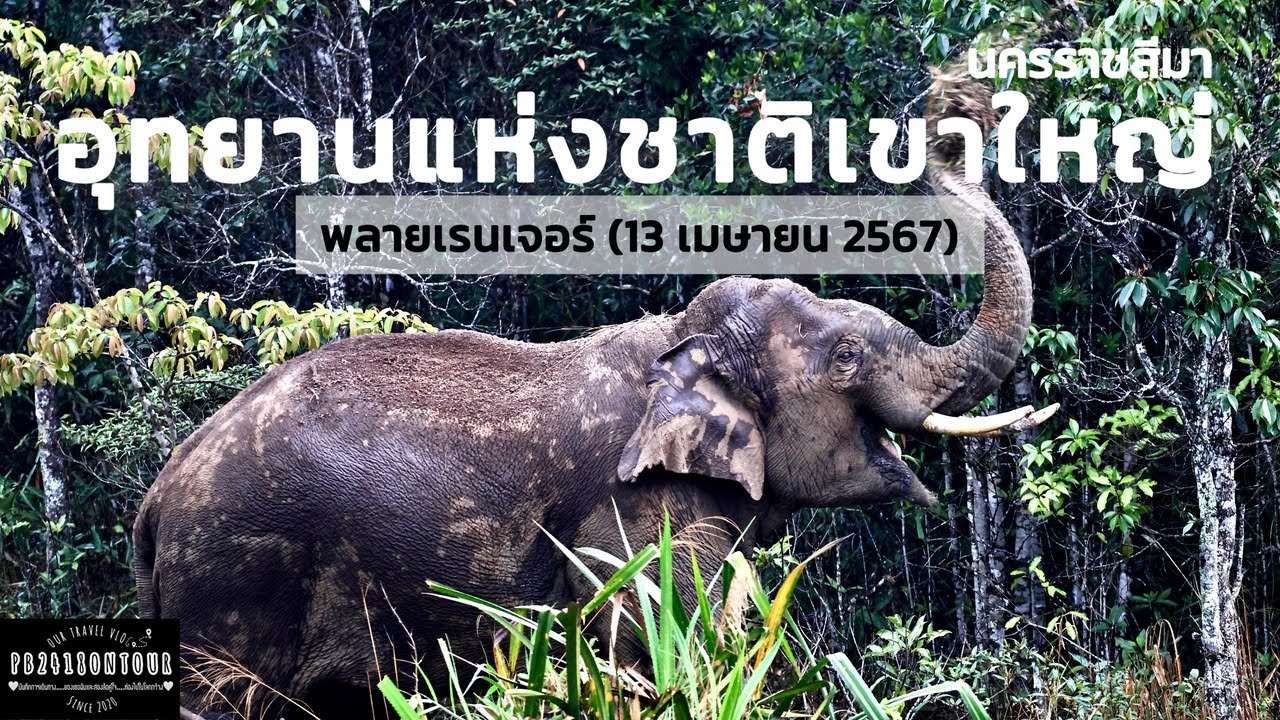 EP.166 อุทยานแห่งชาติเขาใหญ่ (พลายเรนเจอร์) จังหวัดนครราชสีมา