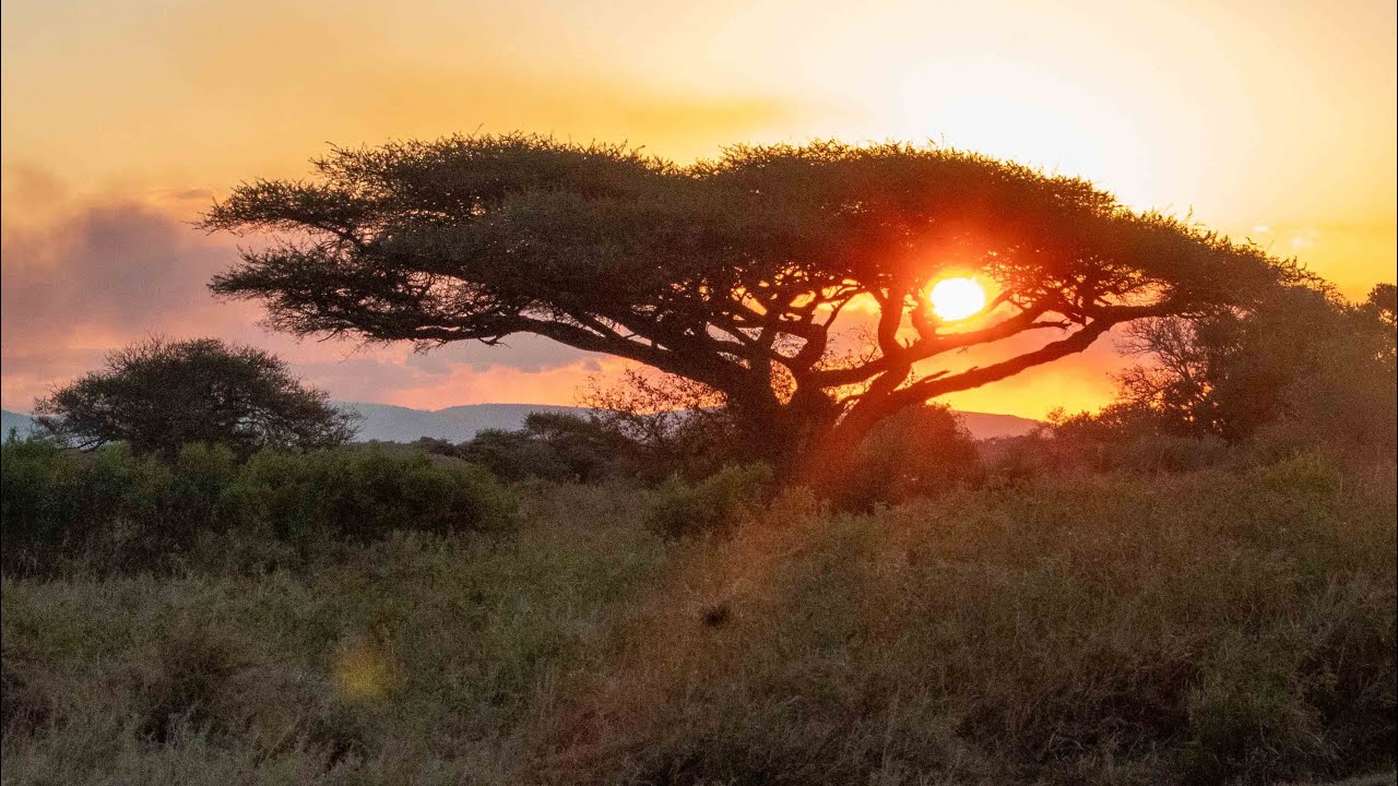 Mkhuze Game Reserve August 2025