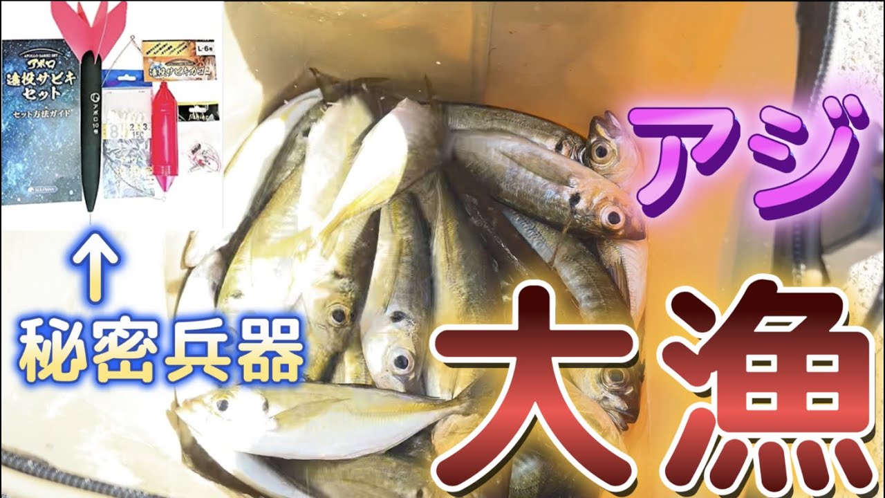 【アジ大漁】アポロ遠投サビキセットを使ったらとんでもなく釣れたw