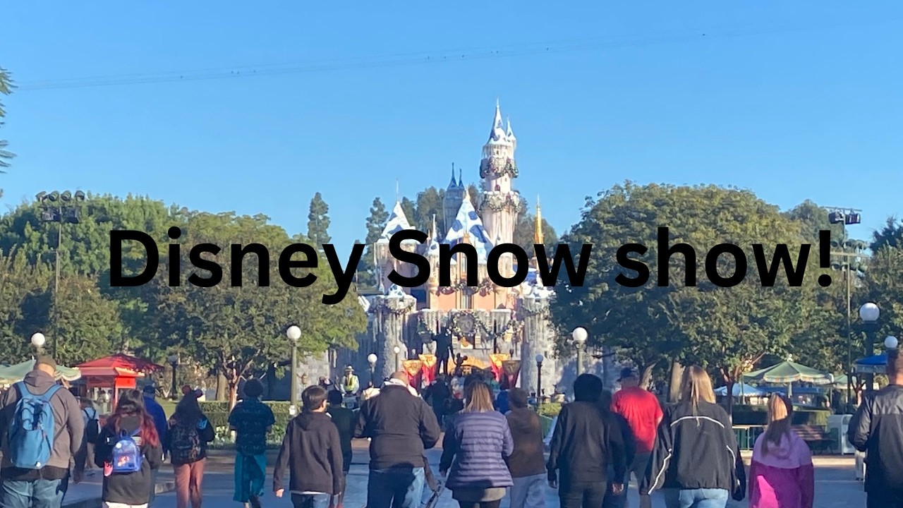 Disney snow show