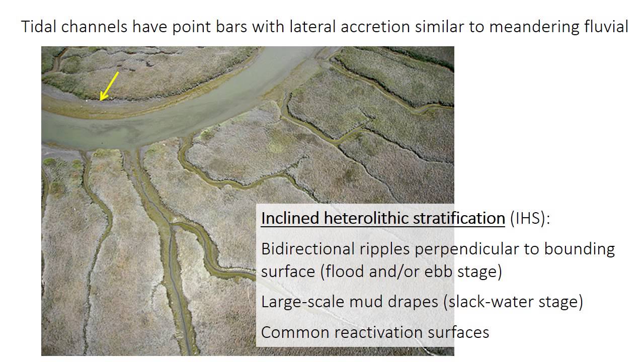 16 - Tidal flats