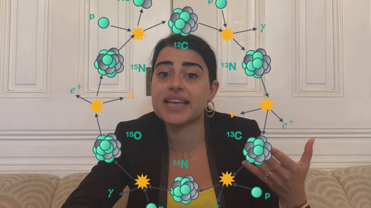 Zara Bagdasarian (UC Berkeley) - Borexino collaboration - Neutrino 2020 - Poster #238