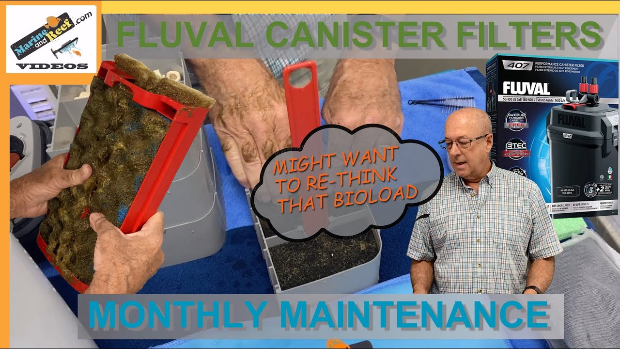 MarineAndReef.com: Fluval Canister Filter Monthly Maintenance Demonstration