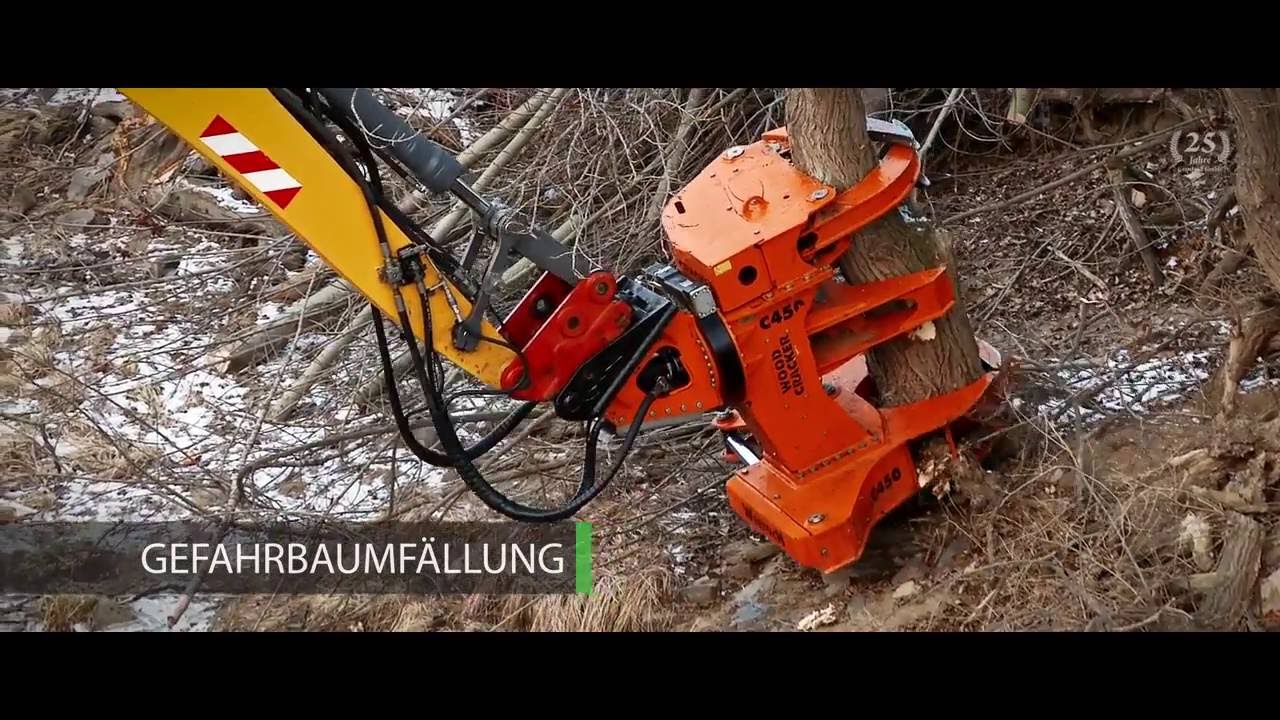 25 Jahre Grünland GmbH | Baum- und Landschaftspflege