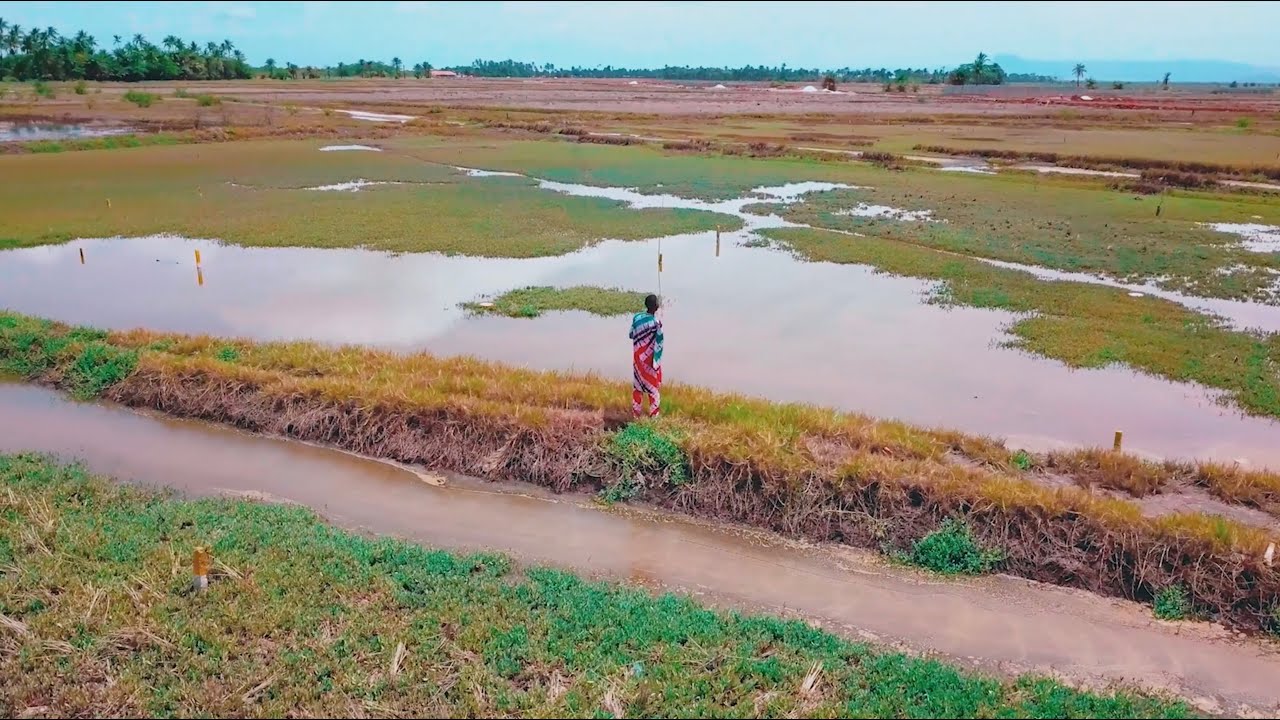 Dj Je t'aime - Woulada [Clip_officiel]