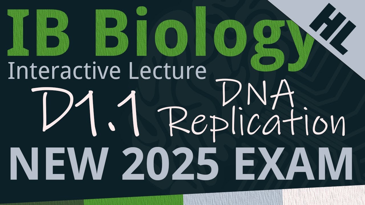 IB Biology D1.1 - DNA Replication [AHL] - Interactive Lecture 2025-2033