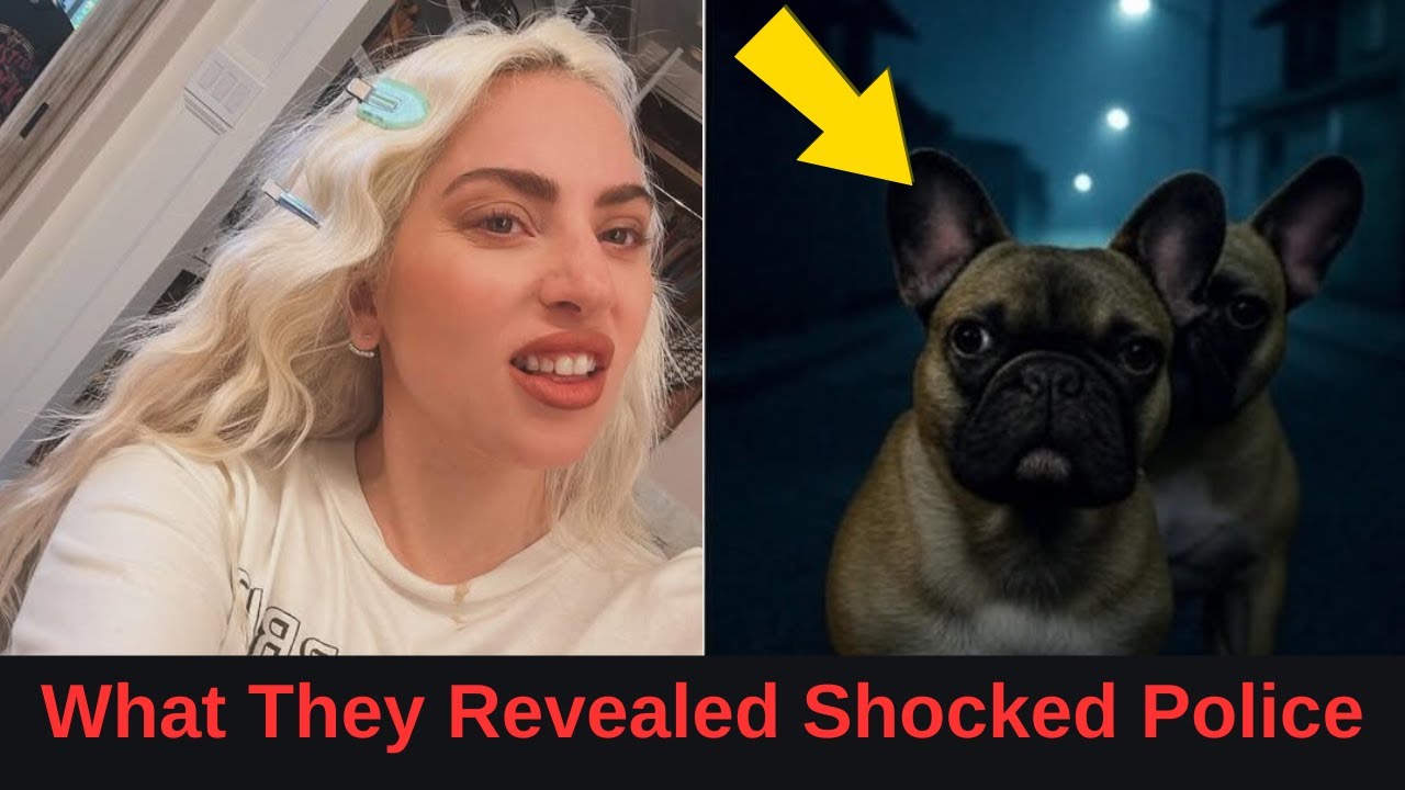What Lady Gaga's Dogs Did After the Attack Changed Criminal Investigation Forever