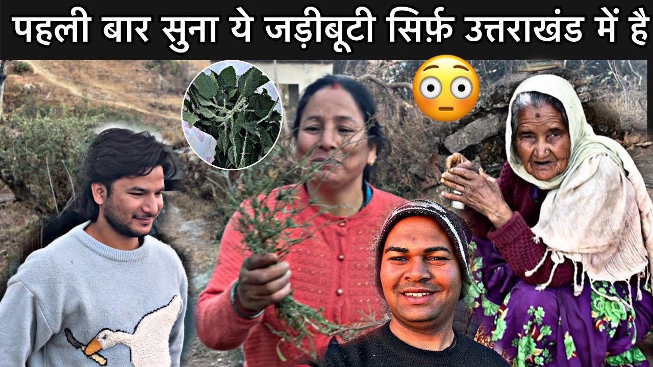 काशीपुर से आए स्पेशल इस जड़ी-बूटी के लिए 😳ll आज पता चला इतनी ताक़त है इन सब चीजों में 🤔ll