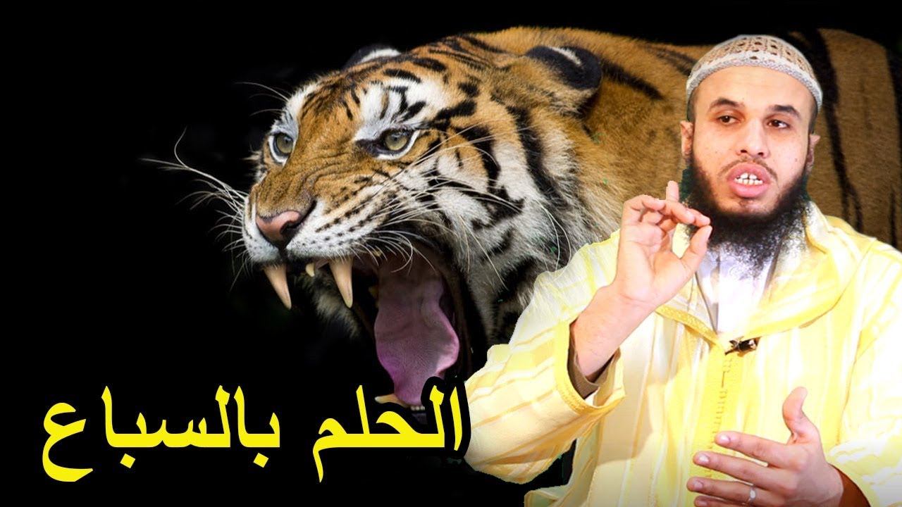 تفسير رؤية الأسد والنمور في المنام   وطريقة لحرقهم