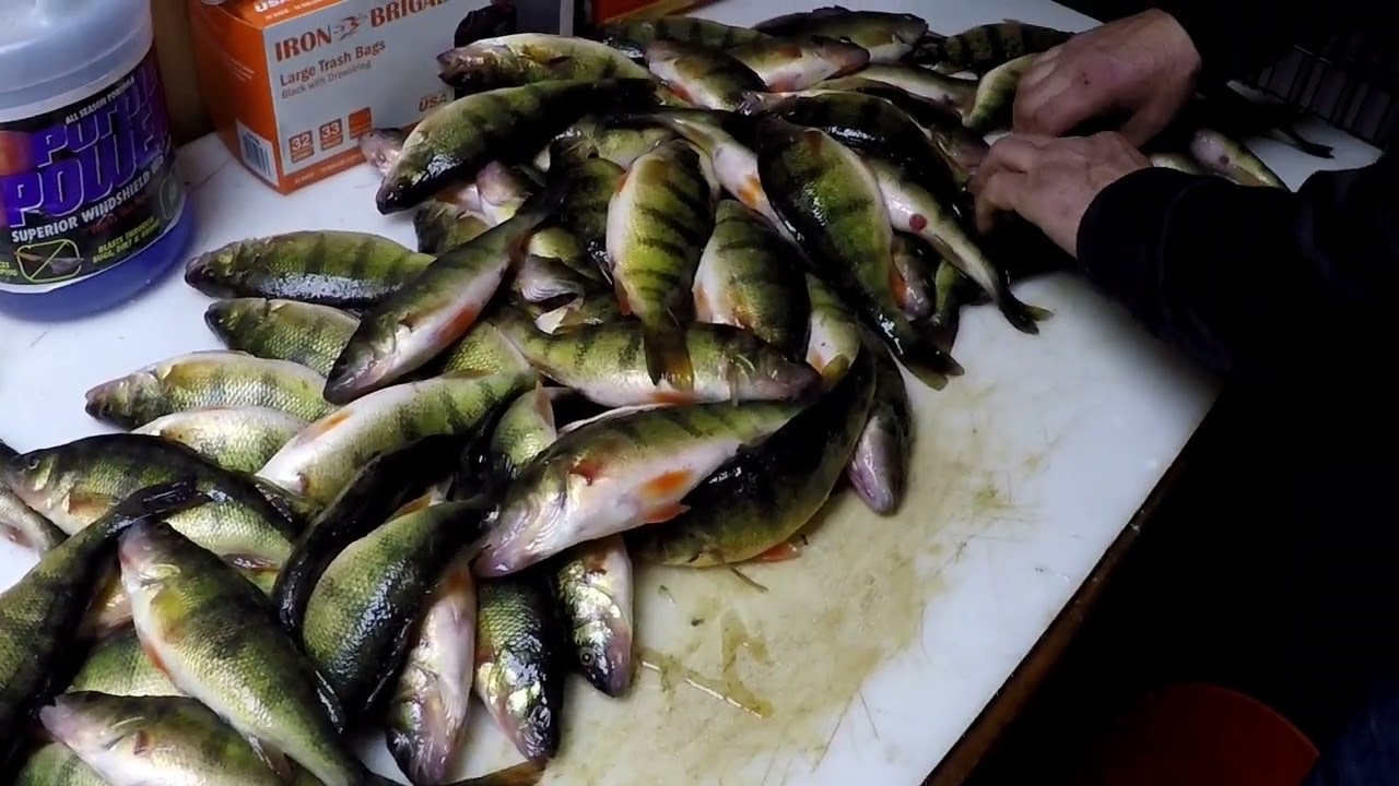 Ice Fishing Devils Lake | North Dakota