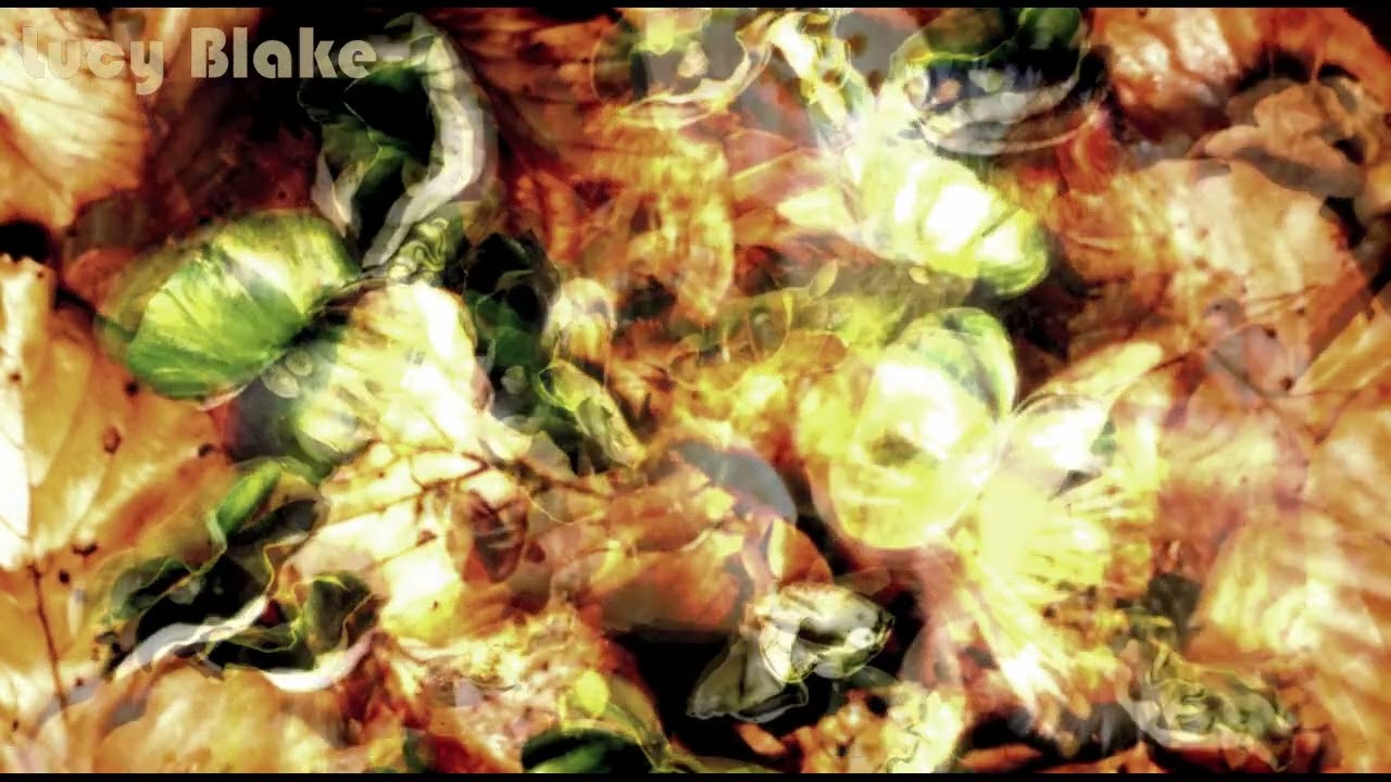 Lucy Blake -  PPF - 03 Broken Hopes - IDM Glitch