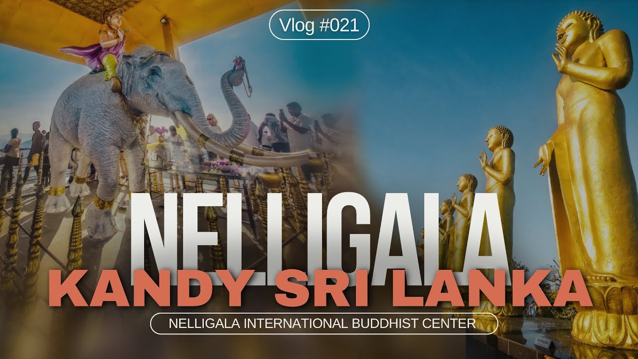 Nelligala International Buddhist Center | නෙල්ලිගල බෞද්ධ පුදබිමට | Kandy Travel Guide 2024 | SL 🪭