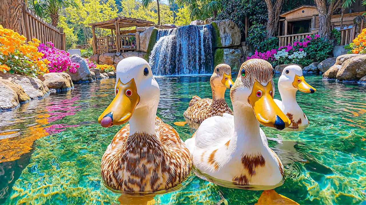 Терапия с помощью утки 🦆 Посмотрите это, если чувствуете тревогу ~ Успокойте свой разум и подними...