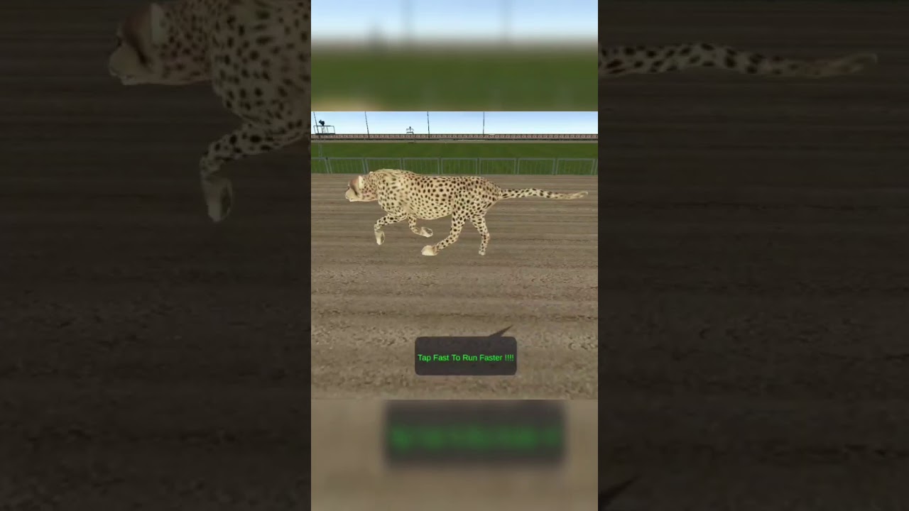 Wild Animals Racing 3D GamePlay #Shorts