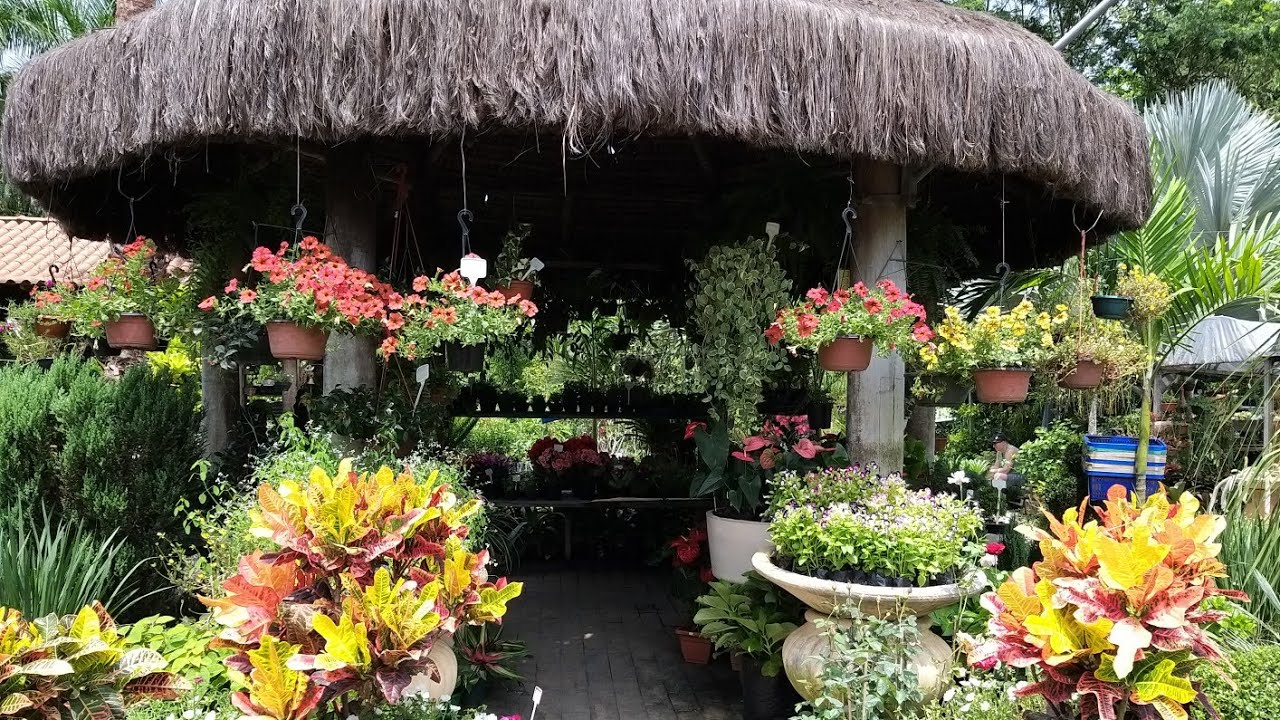 VAMOS VER COISA BONITA/ VISITA HORTO SÃO JOSÉ