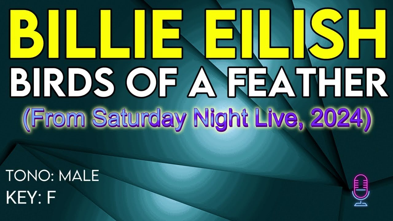 Billie Eilish - Birds Of A Feather (From Saturday Night Live) - Karaoke Instrumental - Male