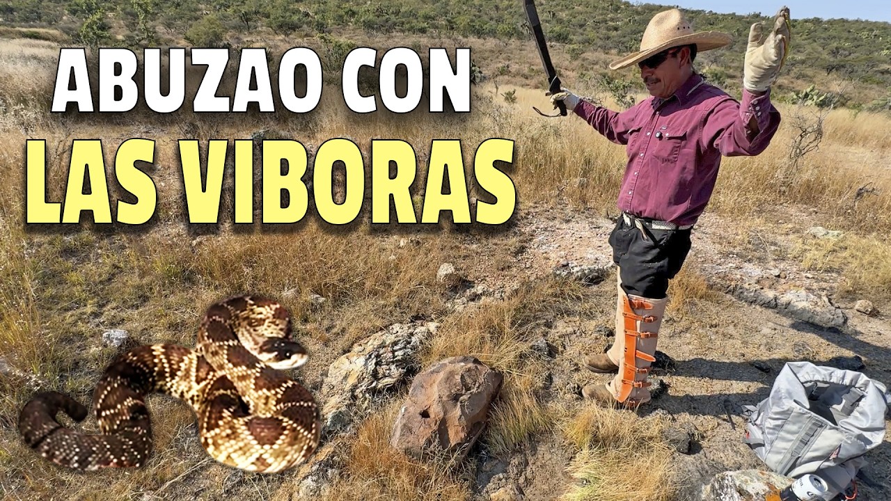 CON ESTA MINA NO OCUPO EL NORTE - Buscando Estaño y Metal Acopalao
