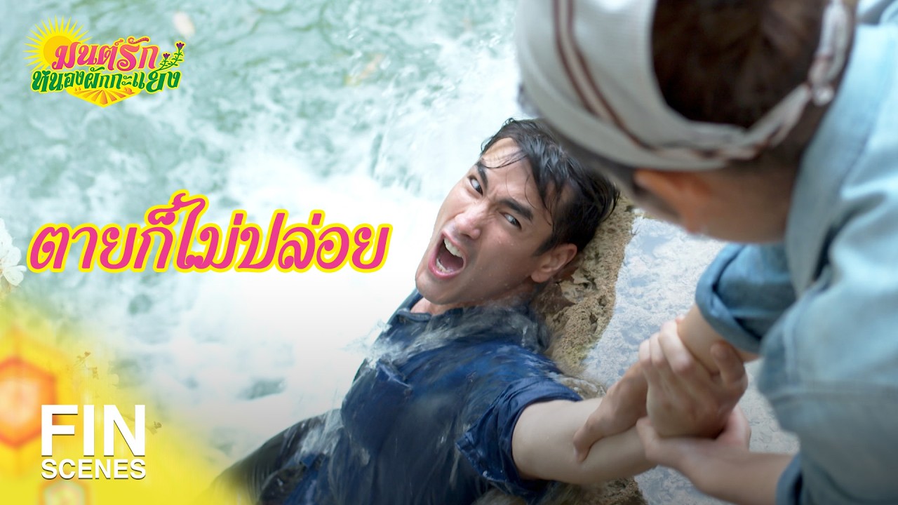 FIN Special | ชมพู่ตื่นขึ้นมาหาเขียวก่อน | มนต์รักหนองผักกะแยง EP.17 | Ch3Thailand