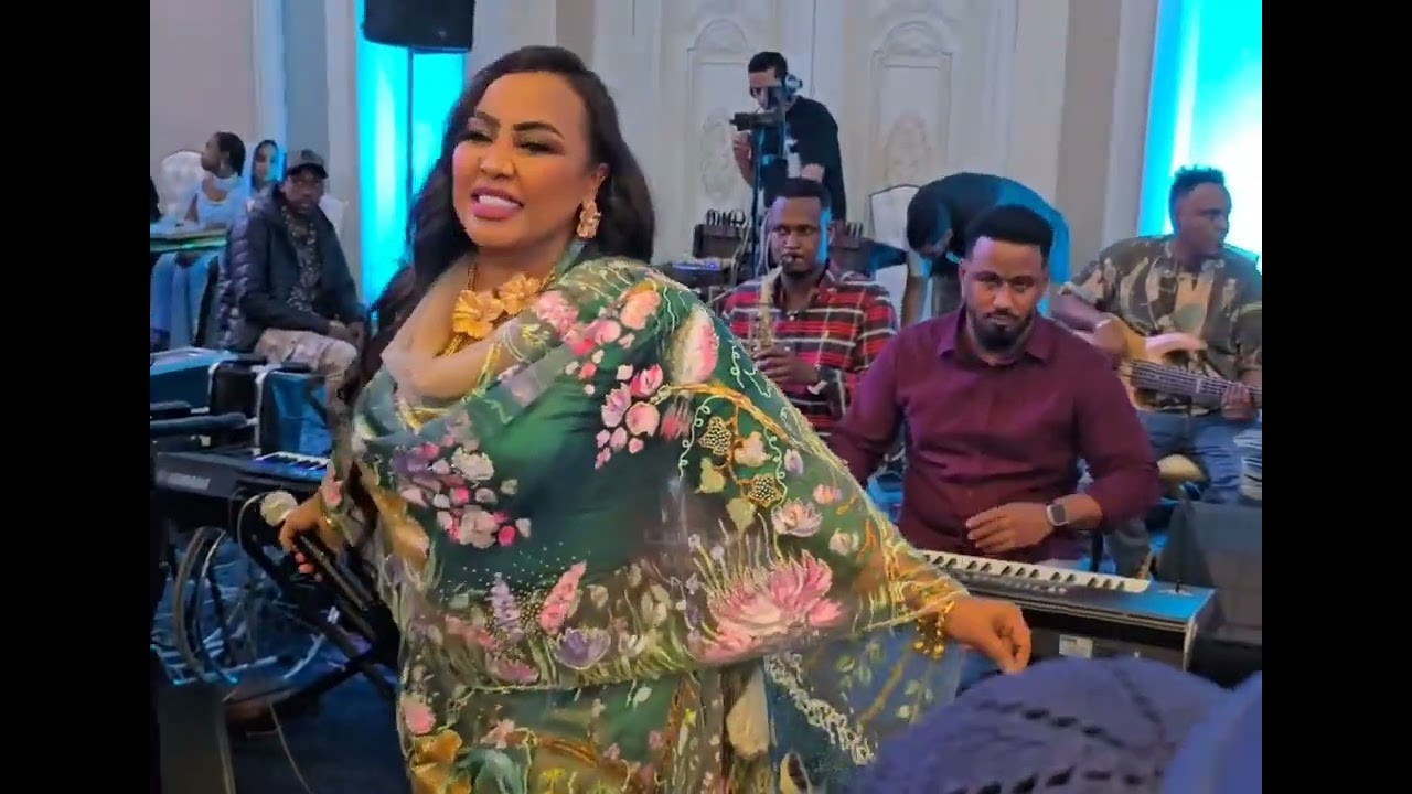 صانعة البهجه الفنانه السودانية هدى العربى حفله زاوج ب كايرو 22/4/2026