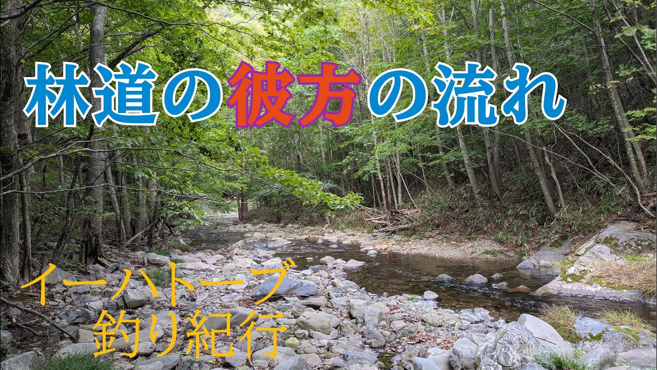 林道の彼方の釣り【フライフィッシング】三度、解散の川【イーハトーブ】