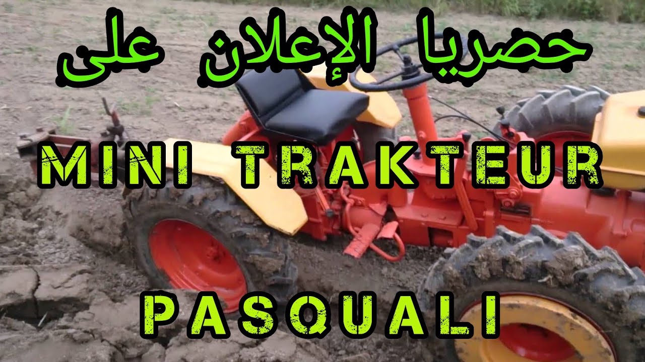 حصريا الإعلان على mini trakteur Pasquali 946 بمحراث ARATRO